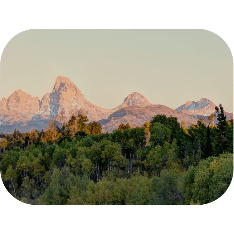 Idaho state